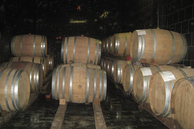 Amarone Wine Tour (All-Inclusive Full Day With Lunch and Expert Wine Guide) - Reviews and Ratings