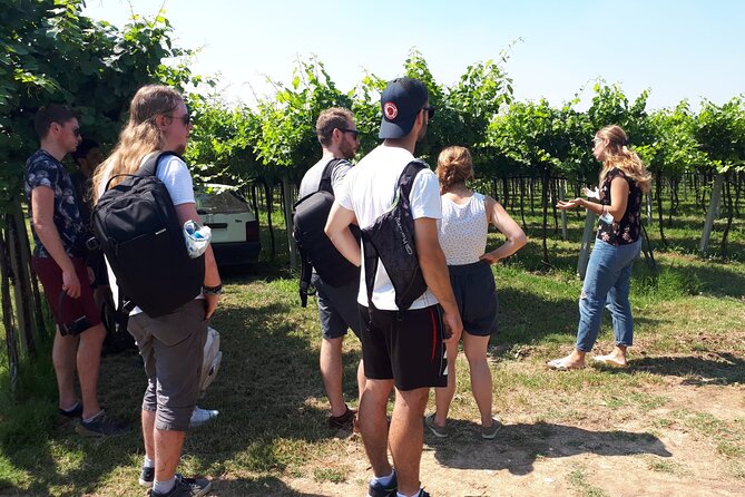 Amarone Wine Tour - Duration and Schedule