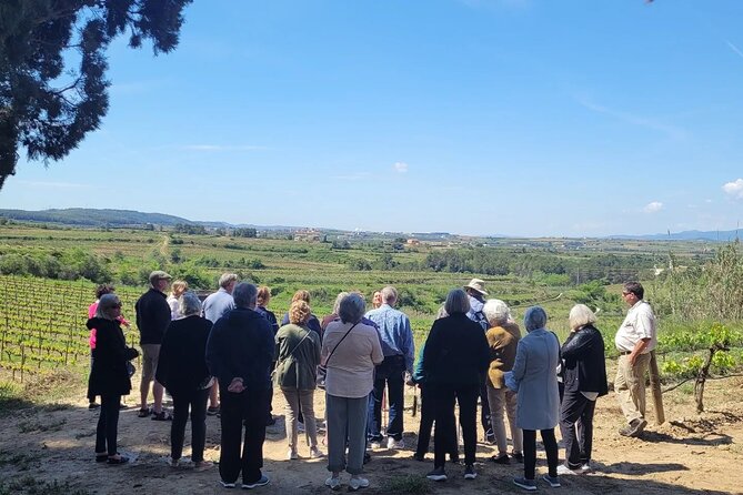 Amarone Wine Tour With 2 Wineries Lunch and Private Transfer - Tour Overview