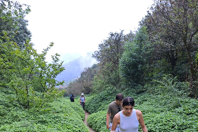 Amazing 1 Day Trekking Experience in Kathmandu Nepal - Pricing and Booking Information