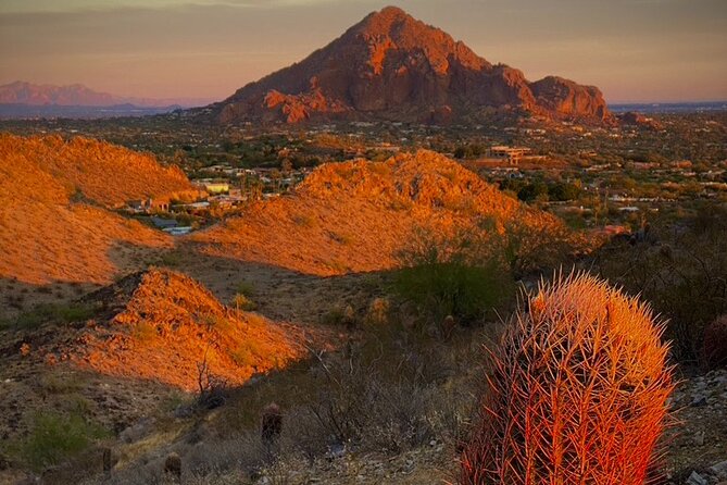 Amazing 2-Hour Guided Hiking Adventure in Phoenix, Arizona - Appreciating the Flora, Fauna, and Geology