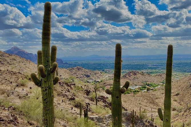 Amazing 2-Hour Guided Hiking Adventure in Phoenix, Arizona - Important Considerations for Travelers