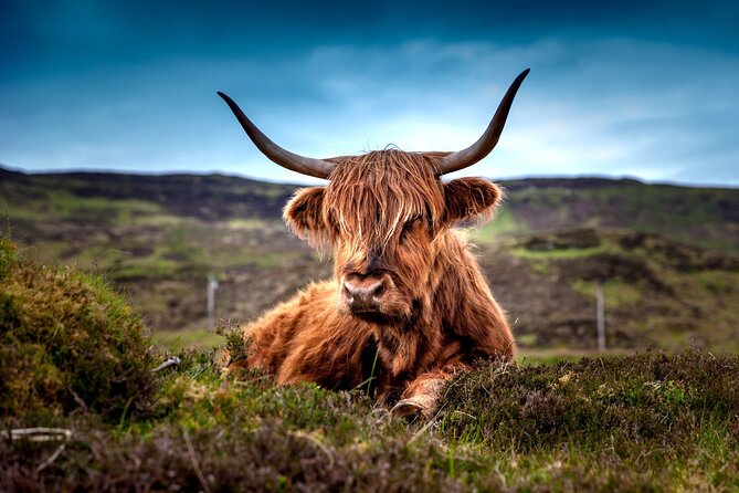 Amazing 3-Day Aberdeen Deeside Loch Ness Pitlochry Edinburgh Private Tour - Tour Logistics