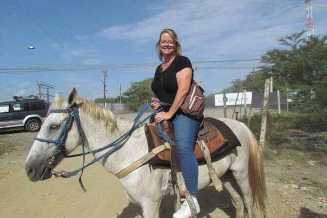 Amazing 3-Hour Horseback Riding at Puerto Plata with Pickup - The Real Experiences of Past Travelers