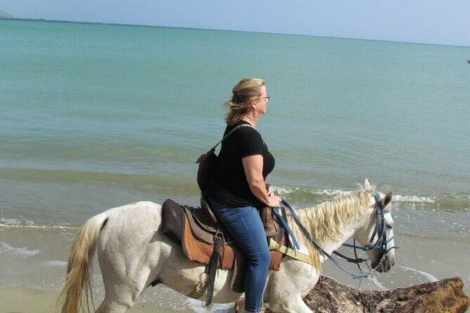 Amazing 3-Hour Horseback Riding at Puerto Plata with Pickup - FAQs