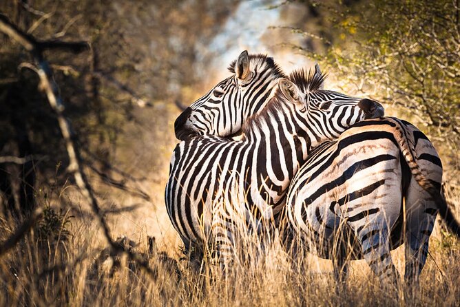Amazing 4 Days Safari 3 Nights: Tarangire, Ngorongoro, Serengeti - Inclusions