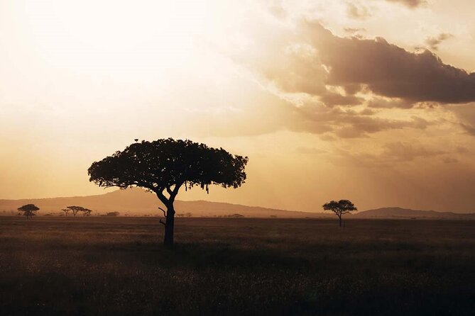Amazing 4 Days Safari 3 Nights: Tarangire, Ngorongoro, Serengeti - Exclusions