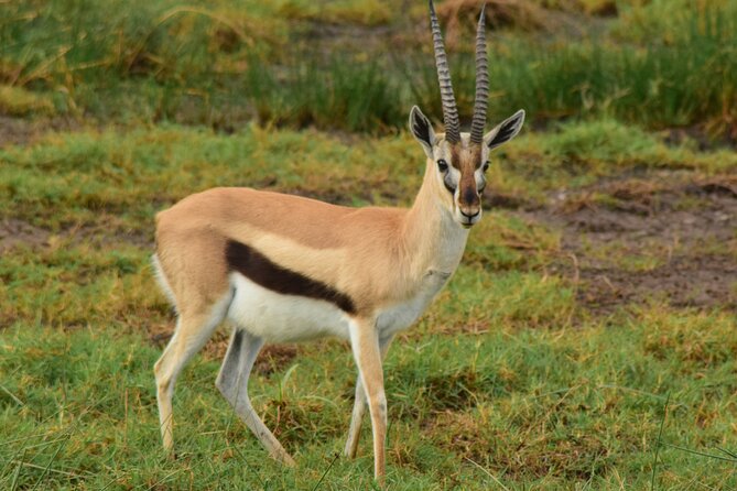 Amazing 4 Days Tanzania Budget Camping Group Joining Safari - Confirmation and Accessibility