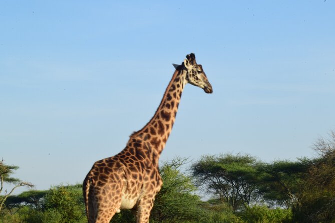Amazing 4 Days Tanzania Budget Camping Group Joining Safari - Itinerary Overview