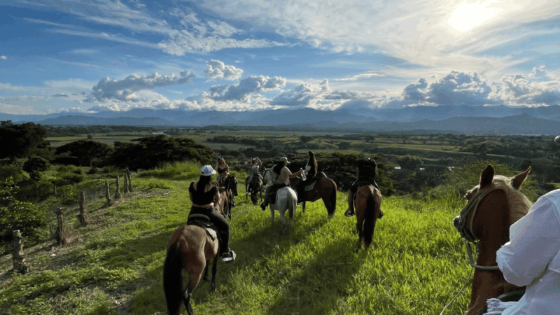 Amazing Adventure: Coffee Tour and Exclusive Horseback Riding in Pereira - Key Points