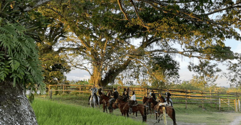 Amazing Adventure: Coffee Tour and Exclusive Horseback Riding in Pereira - Booking Information