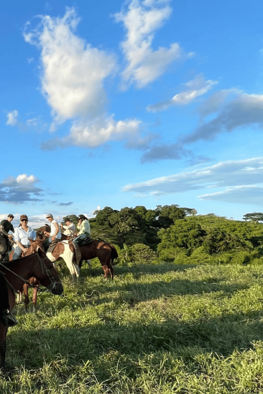 Amazing Adventure: Coffee Tour and Exclusive Horseback Riding in Pereira - Activity Highlights