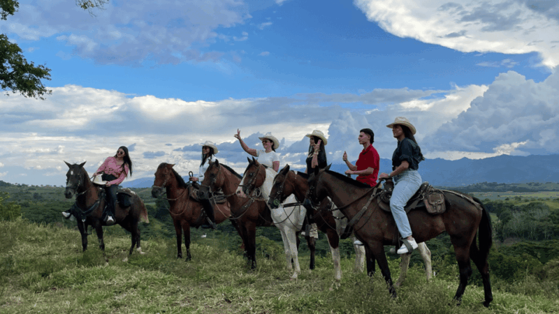Amazing Adventure: Coffee Tour and Exclusive Horseback Riding in Pereira - Experience Details