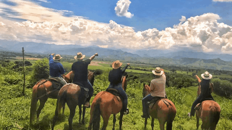 Amazing Adventure: Coffee Tour and Exclusive Horseback Riding in Pereira - Included and Excluded