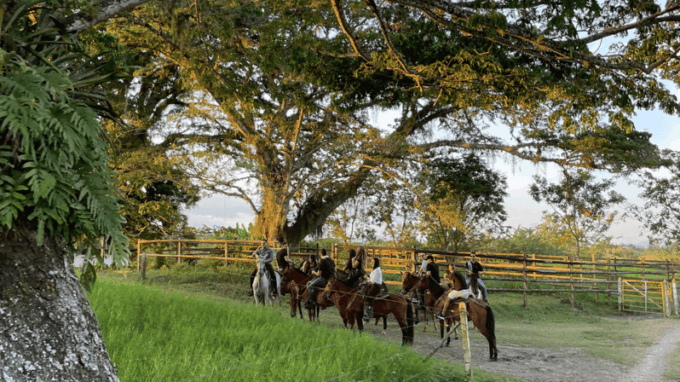 Amazing Adventure: Coffee Tour and Exclusive Horseback Riding in Pereira - Suitability and Recommendations