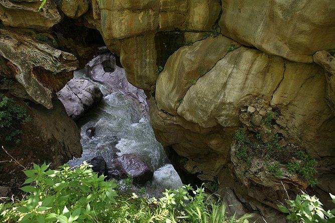Amazing Adventure - Inclusions