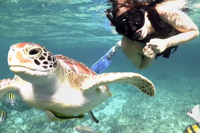 Amazing Adventure in Akumal. Swim With Turtles and Discover Tulum Ruins. - Tulum Ruins Exploration