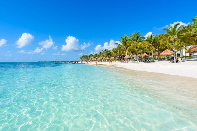 Amazing Adventure in Akumal. Swim With Turtles and Discover Tulum Ruins. - Inclusions and Amenities