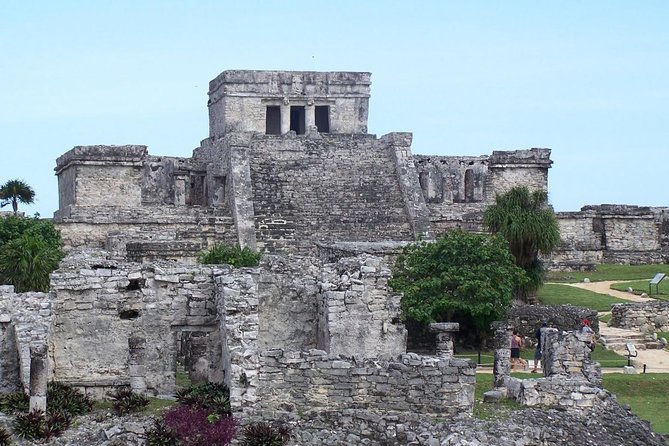 Amazing Adventure Tulum, Coba, Cenote and Playa Del Carmen Tour. - Cenote Swimming Adventure