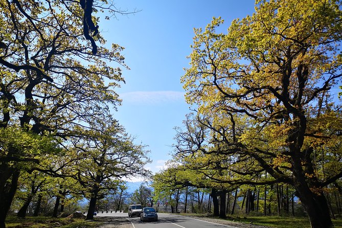 Amazing All Inclusive Tour for 7 Days From Tbilisi - Admire Mestias Natural Wonders