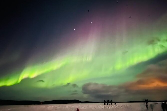 Amazing Aurora BBQ in the Best Spot in Rovaniemi! - Transfers by Mercedes or Volkswagen