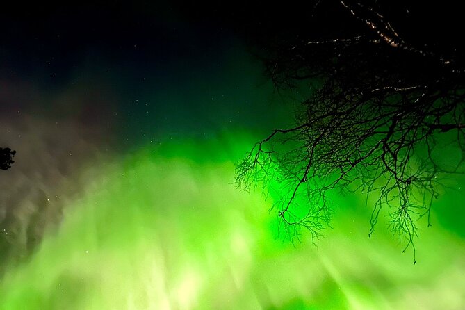 Amazing Aurora BBQ in the Best Spot in Rovaniemi! - Professional Driver and English Guide