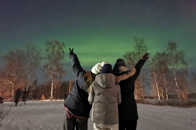 Amazing Aurora BBQ in the Best Spot in Rovaniemi! - Bonfire and Lappish Meal Experience
