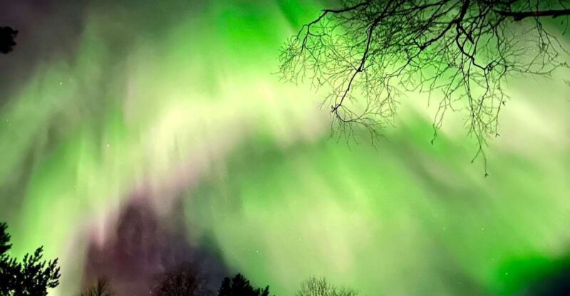 Amazing Aurora With BBQ in the Best Spot in Rovaniemi! - Tour Details