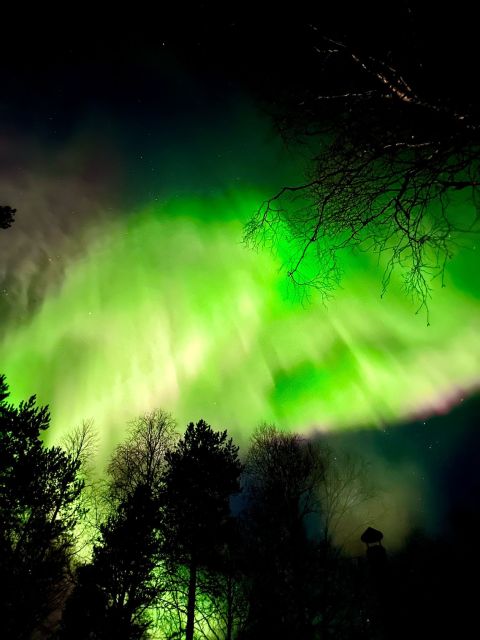 Amazing Aurora With BBQ in the Best Spot in Rovaniemi! - Northern Lights Education
