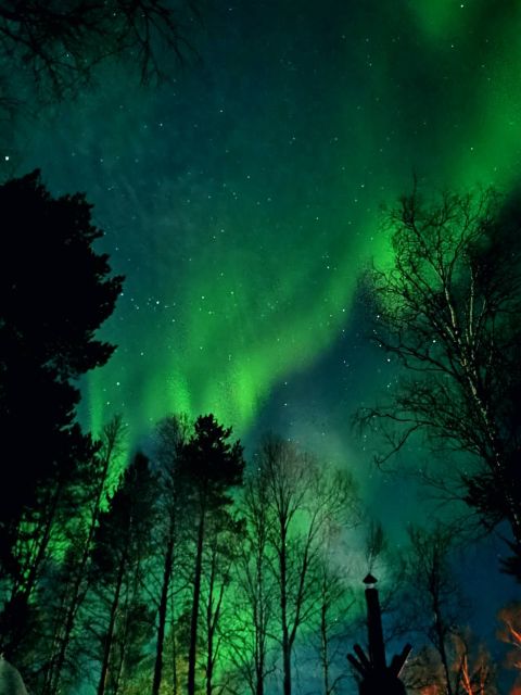 Amazing Aurora With BBQ in the Best Spot in Rovaniemi! - Traditional BBQ Experience