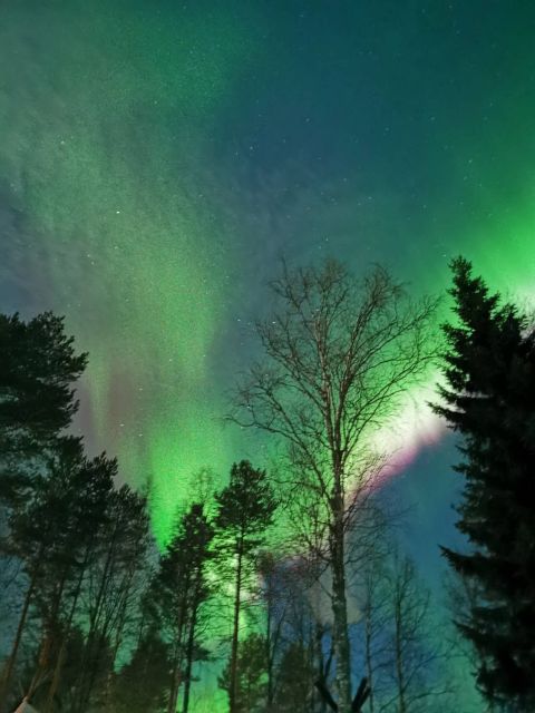 Amazing Aurora With BBQ in the Best Spot in Rovaniemi! - Photographic Opportunities