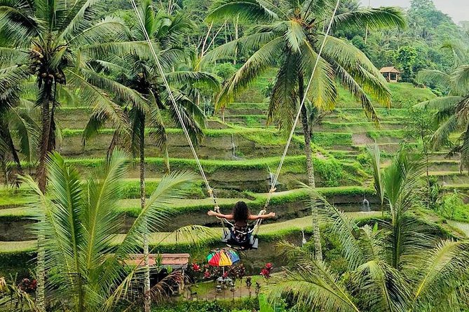 Amazing Bali Tour With 6 Places - Highlights of the Tour