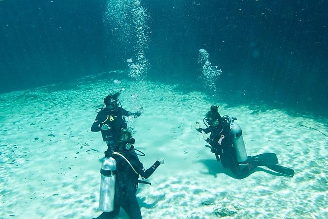 Amazing Beginner Dive in Tulum Cenote (Or Refresher Dive) - Itinerary and Activities