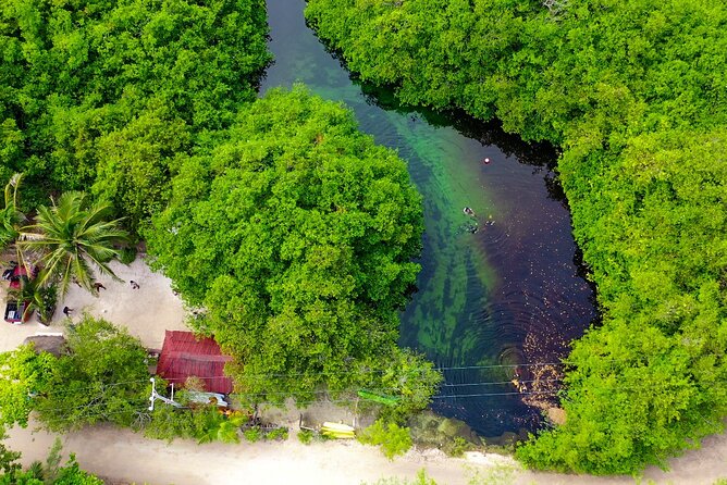 Amazing Beginner Dive in Tulum Cenote (Or Refresher Dive) - Exploring the Cenote