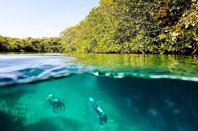 Amazing Beginner Dive in Tulum Cenote (Or Refresher Dive) - Practicing in Shallow Water