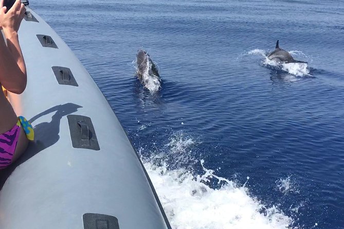 Amazing Boat Trip From Tropea to Capo Vaticano - 6 to 12 People - Accessibility and Participation