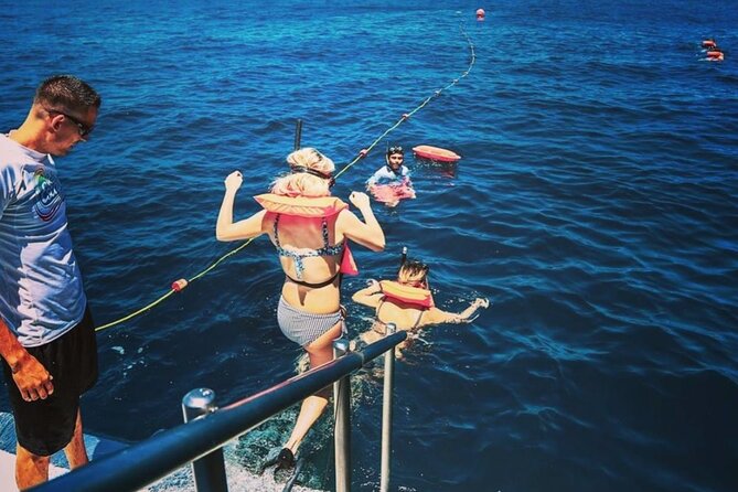 Amazing Cabo and Snorkel Adventure - Guest Reviews