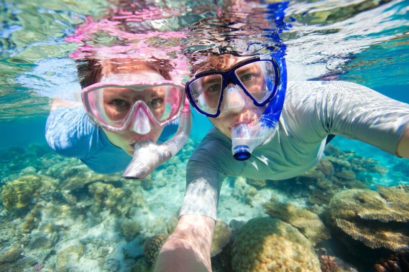 Amazing Cabo and Snorkel Adventure - Itinerary Highlights