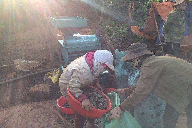 Amazing Coffee Full-Day Tour in Buon Ma Thuot - Daklak - Accessibility and Fitness Requirements