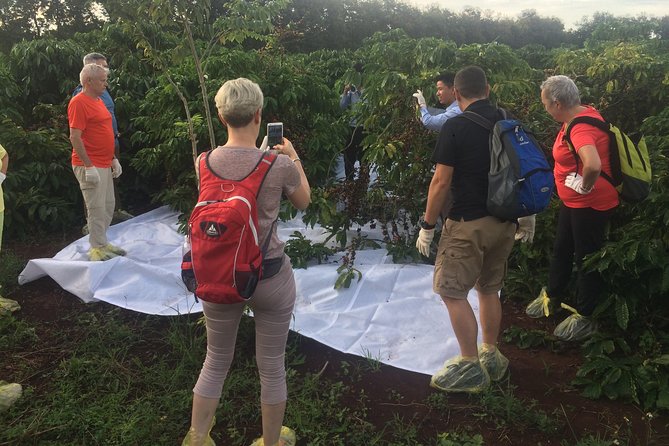 Amazing Coffee Full-Day Tour in Buon Ma Thuot - Daklak - Feedback and Recommendations