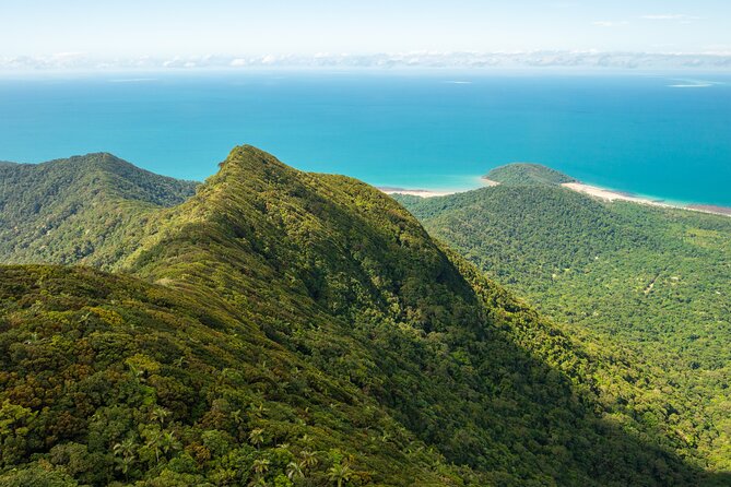 Amazing Daintree Rainforest Tour Waterfall Hike, Lunch, Swim & Crocodile Cruise - Reviews and Ratings