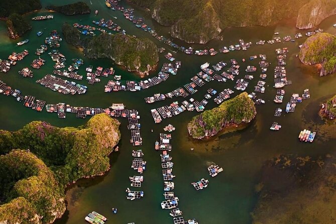 Amazing Day - Boat Trip Discover Real Ha Long Bay and Lan Ha Bay - Overview