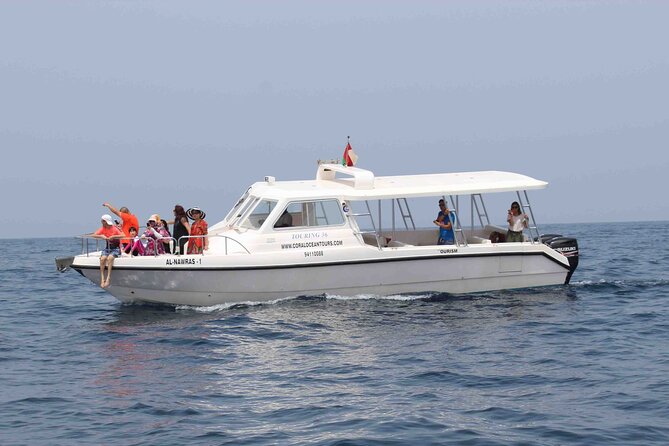 Amazing Dolphin Watching Tour In Muscat - Reviews and Ratings