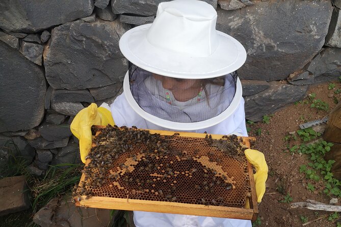 Amazing Experience With Bees, Honey and Pollen in Madeira Island - Interaction With Beehives