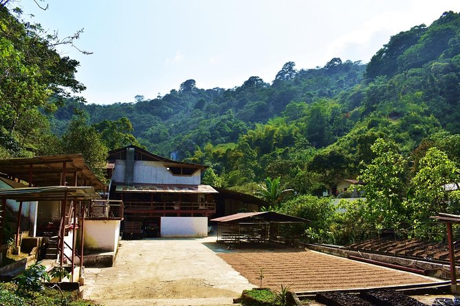 Amazing Full Day Tour to Minca With a Private Guide - Cultural and Nature Experiences