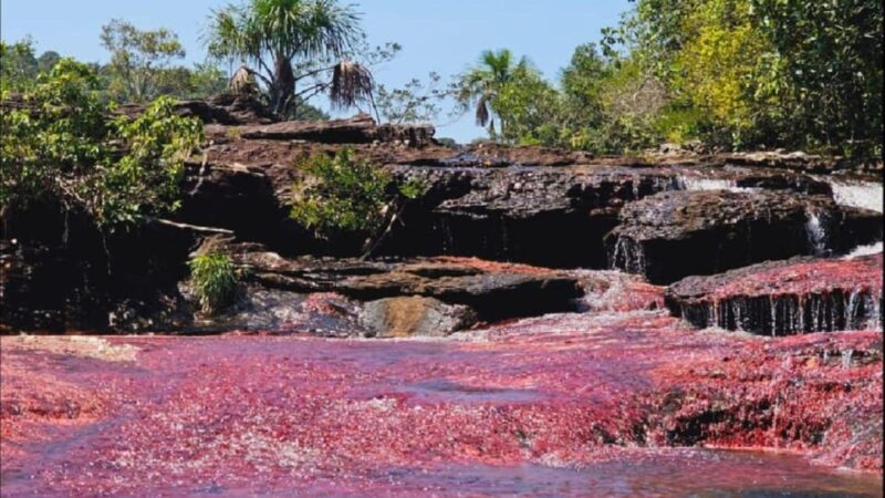 Amazing Guaviare Plan 3 Days and 2 Nights - Key Points