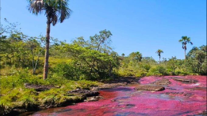 Amazing Guaviare Plan 3 Days and 2 Nights - Recap