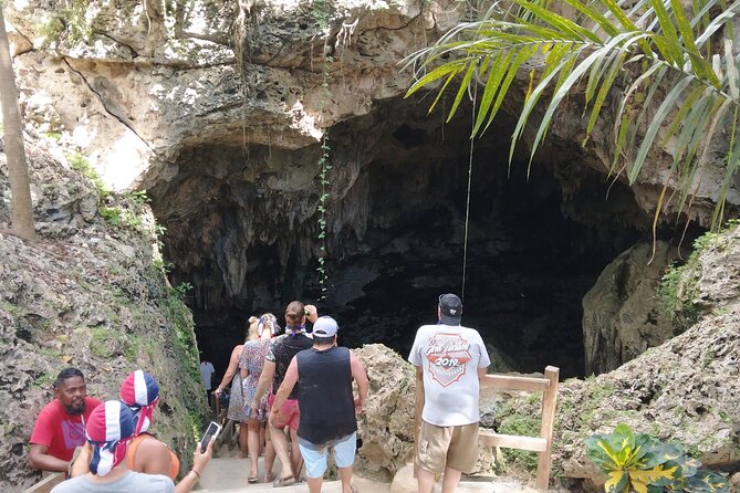 Amazing Half Day Tour Buggy Double 4 X 4 Cenote Macao Beach - Private Tour Experience