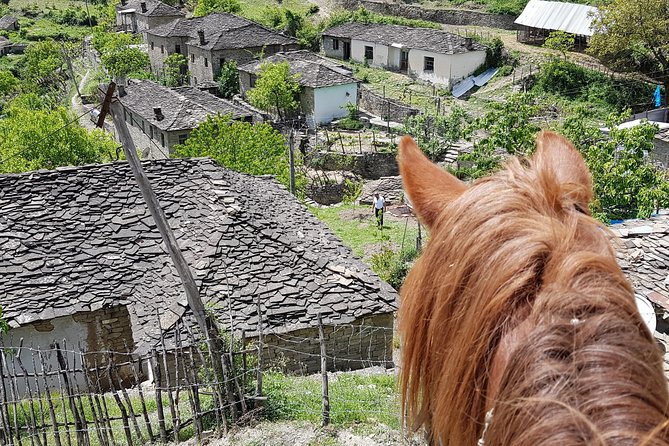 Amazing Horse Riding Experience at Vjosa National Park in Permet - Meeting and Pick-up Logistics