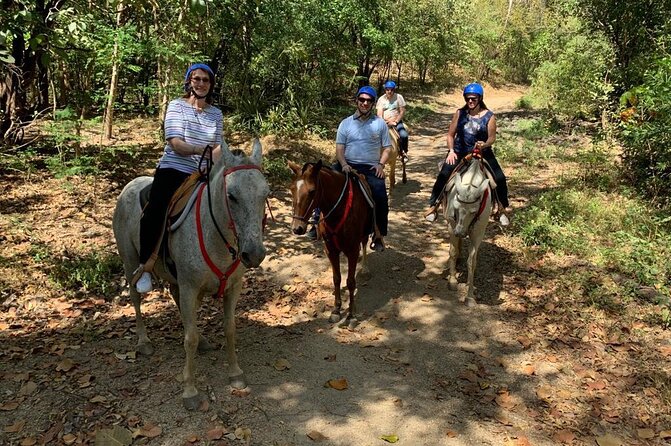 Amazing Horseback Riding in the Tropical Forest - Horseback Riding Essentials